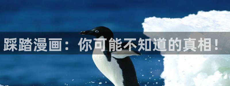 虫虫漫画免费在线阅读：踩踏漫画：你可能不知道的真相！