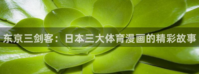 汗汗虫虫漫画免费阅读看漫：东京三剑客：日本三大体育漫画的精彩故事