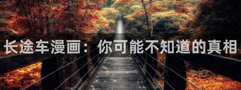 虫虫的漫画：长途车漫画：你可能不知道的真相