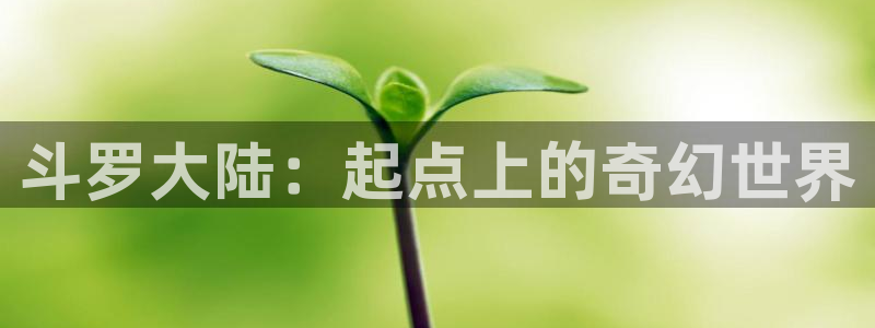 虫虫漫画51：斗罗大陆：起点上的奇幻世界