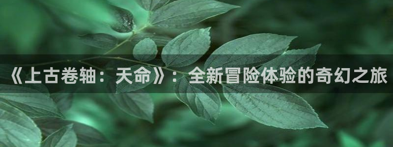 虫虫漫画 在线：《上古卷轴：天命》：全新冒险体验的奇幻之旅