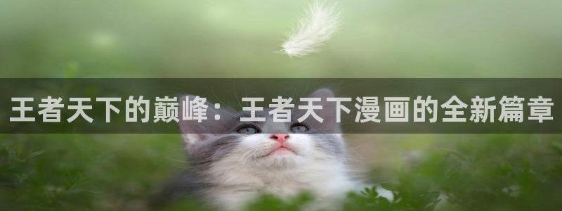 虫虫漫画免费下拉：王者天下的巅峰：王者天下漫画的全新篇章