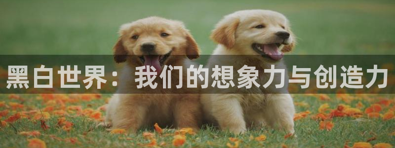 虫虫漫画免费观看漫画：黑白世界：我们的想象力与创造力